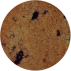 Toaster Oven Cookies - Blueberry Lemon